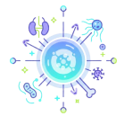 Cellules et éléments du système immunitaire